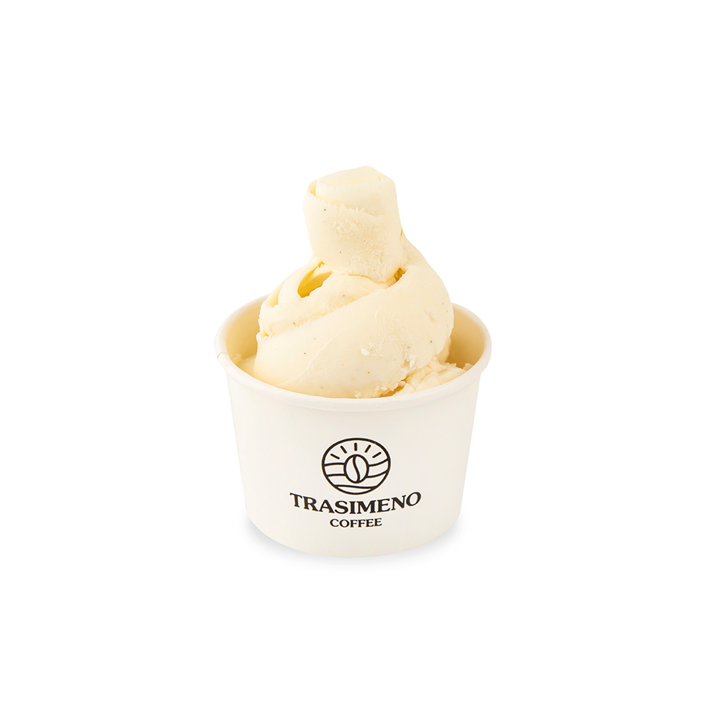 Vanilla Ice Cream (One)