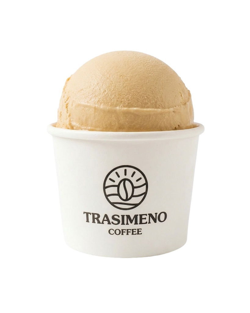 [WEB-MP-000255] Cookies Ice Cream