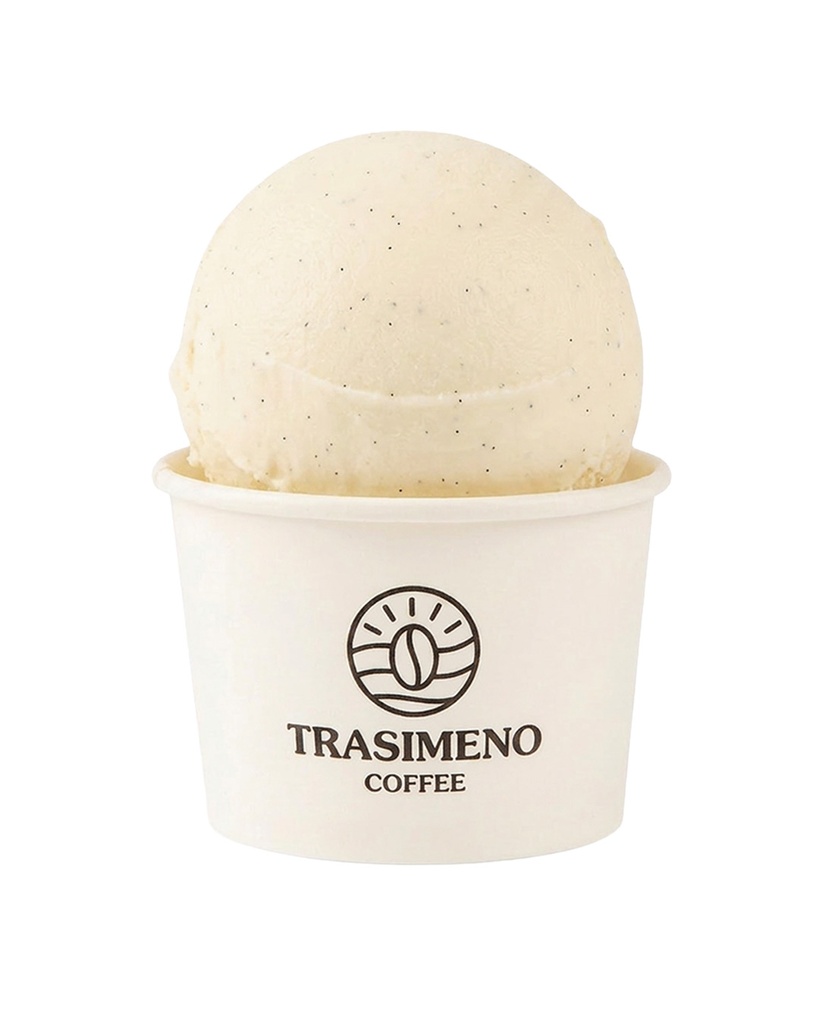 [WEB-MP-000368] Vanilla Ice Cream
